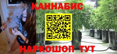 ешки Гатчина