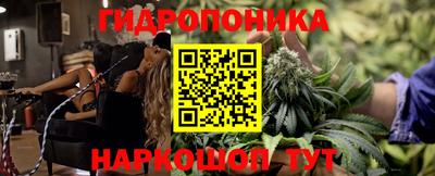 мдпв Гагарин